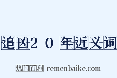 追凶20年近义词是什么意思的图片